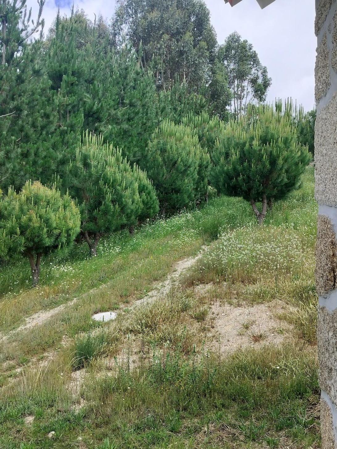 فيلا Arpuro غويفيا المظهر الخارجي الصورة